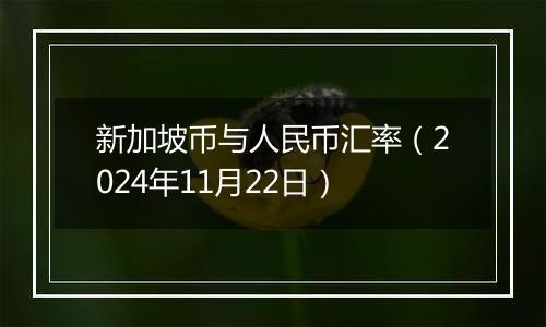 新加坡币与人民币汇率（2024年11月22日）