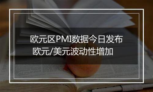 欧元区PMI数据今日发布 欧元/美元波动性增加