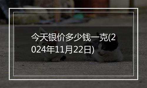 今天银价多少钱一克(2024年11月22日)