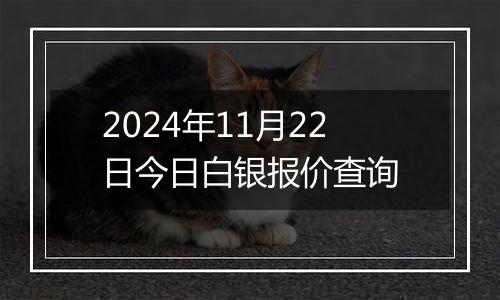 2024年11月22日今日白银报价查询