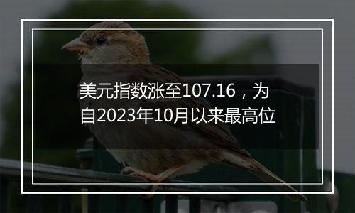 美元指数涨至107.16，为自2023年10月以来最高位