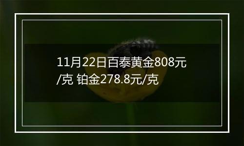 11月22日百泰黄金808元/克 铂金278.8元/克