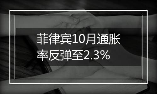 菲律宾10月通胀率反弹至2.3%