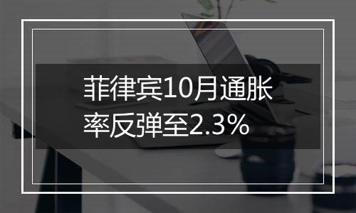 菲律宾10月通胀率反弹至2.3%