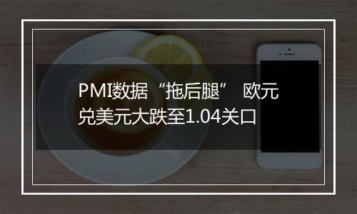 PMI数据“拖后腿” 欧元兑美元大跌至1.04关口