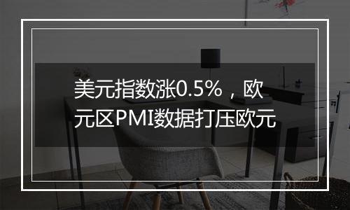 美元指数涨0.5%，欧元区PMI数据打压欧元