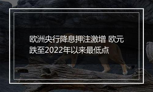 欧洲央行降息押注激增 欧元跌至2022年以来最低点