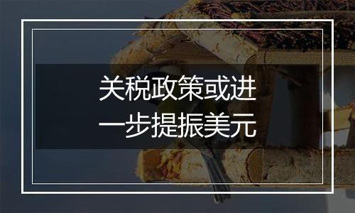 关税政策或进一步提振美元