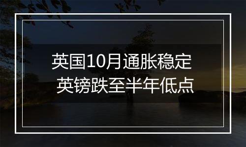 英国10月通胀稳定 英镑跌至半年低点