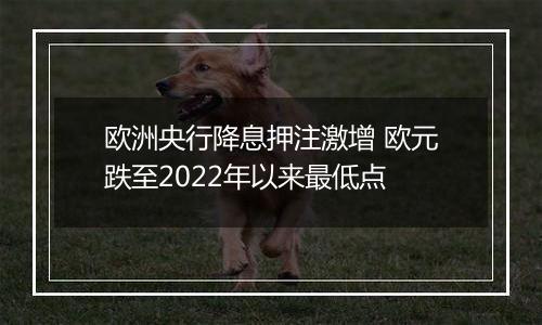 欧洲央行降息押注激增 欧元跌至2022年以来最低点