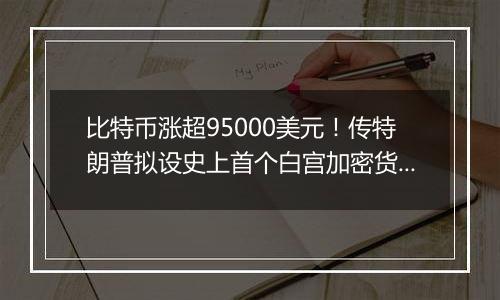 比特币涨超95000美元！传特朗普拟设史上首个白宫加密货币职位