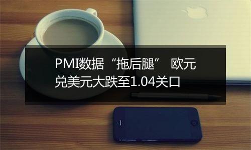 PMI数据“拖后腿” 欧元兑美元大跌至1.04关口