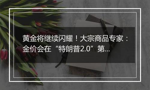 黄金将继续闪耀！大宗商品专家：金价会在“特朗普2.0”第一年屡创新高！