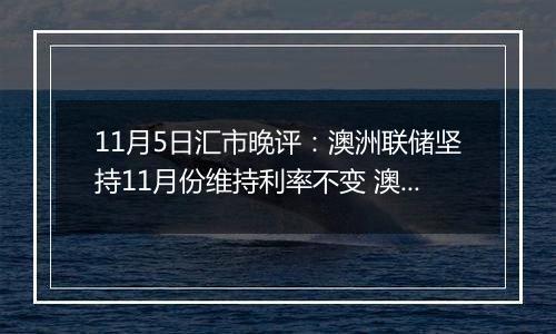 11月5日汇市晚评：澳洲联储坚持11月份维持利率不变 澳元坚守阵地