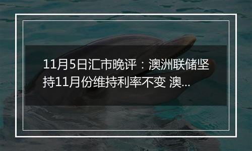 11月5日汇市晚评：澳洲联储坚持11月份维持利率不变 澳元坚守阵地