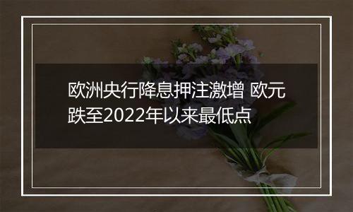 欧洲央行降息押注激增 欧元跌至2022年以来最低点