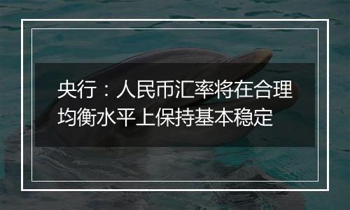 央行：人民币汇率将在合理均衡水平上保持基本稳定