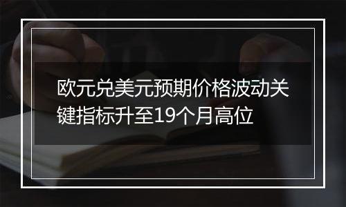 欧元兑美元预期价格波动关键指标升至19个月高位