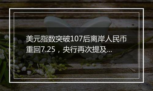 美元指数突破107后离岸人民币重回7.25，央行再次提及汇率弹性，对波动率容忍度或在提升