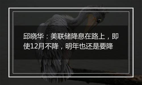 邱晓华：美联储降息在路上，即使12月不降，明年也还是要降