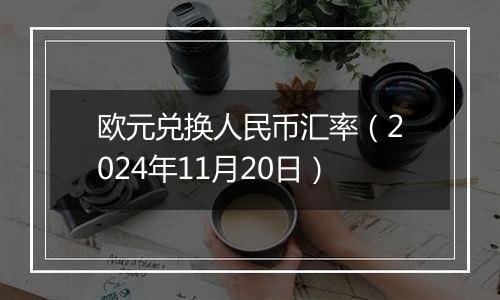 欧元兑换人民币汇率（2024年11月20日）