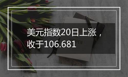 美元指数20日上涨，收于106.681