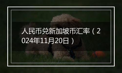 人民币兑新加坡币汇率（2024年11月20日）