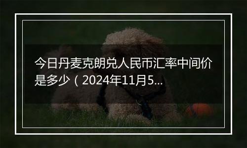 今日丹麦克朗兑人民币汇率中间价是多少（2024年11月5日）