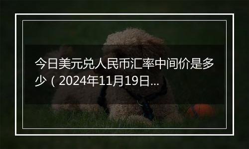 今日美元兑人民币汇率中间价是多少（2024年11月19日）