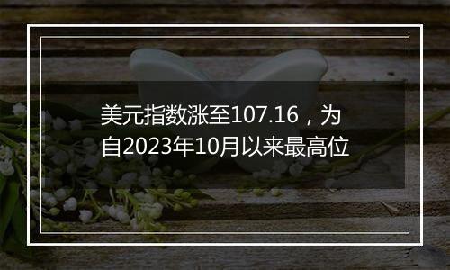 美元指数涨至107.16，为自2023年10月以来最高位