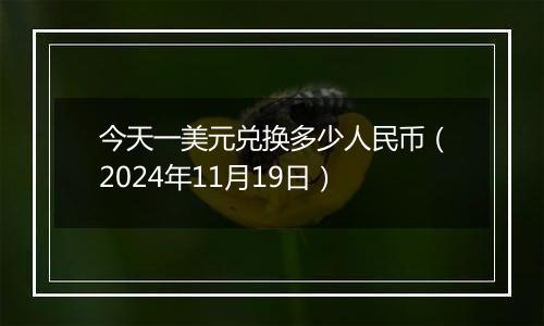 今天一美元兑换多少人民币（2024年11月19日）