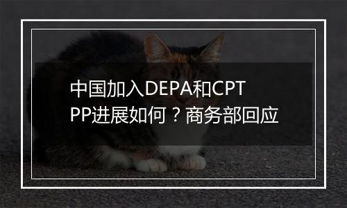 中国加入DEPA和CPTPP进展如何？商务部回应