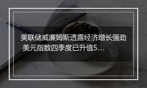 美联储威廉姆斯透露经济增长强劲 美元指数四季度已升值5.78%