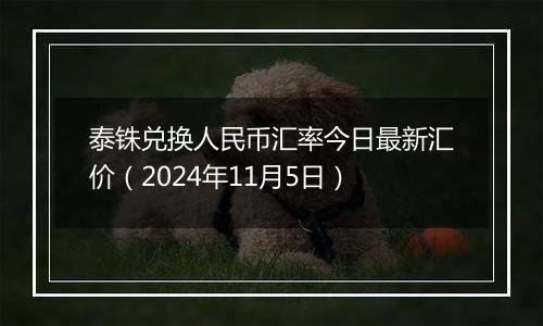 泰铢兑换人民币汇率今日最新汇价（2024年11月5日）