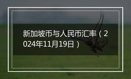 新加坡币与人民币汇率（2024年11月19日）