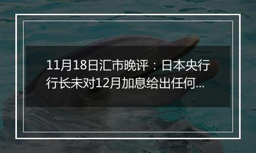 11月18日汇市晚评：日本央行行长未对12月加息给出任何暗示 日元难以从低点回升