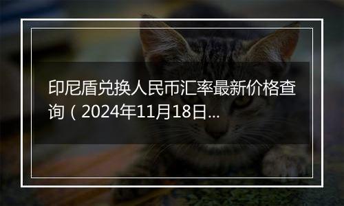 印尼盾兑换人民币汇率最新价格查询（2024年11月18日）