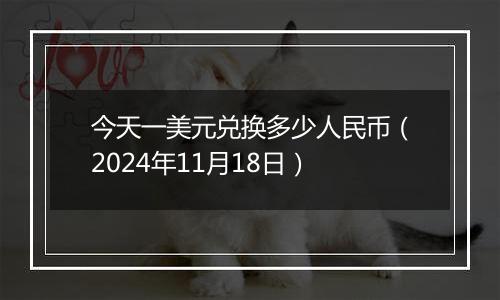 今天一美元兑换多少人民币（2024年11月18日）