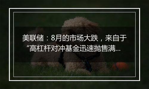 美联储：8月的市场大跌，来自于“高杠杆对冲基金迅速抛售满足内部波动率要求”