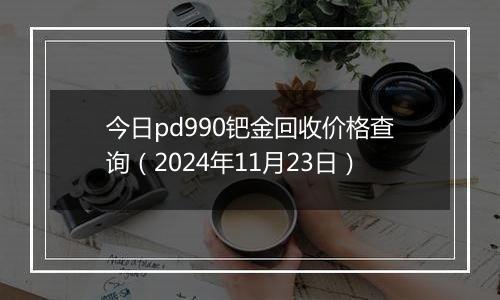 今日pd990钯金回收价格查询（2024年11月23日）