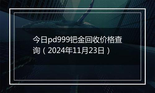 今日pd999钯金回收价格查询（2024年11月23日）