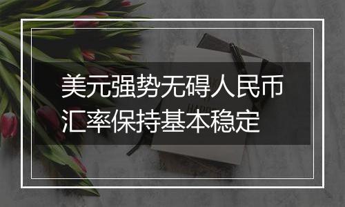 美元强势无碍人民币汇率保持基本稳定