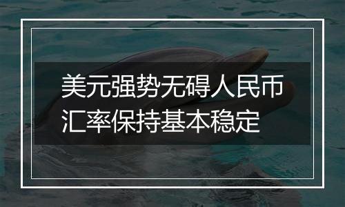 美元强势无碍人民币汇率保持基本稳定