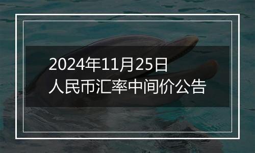 2024年11月25日人民币汇率中间价公告