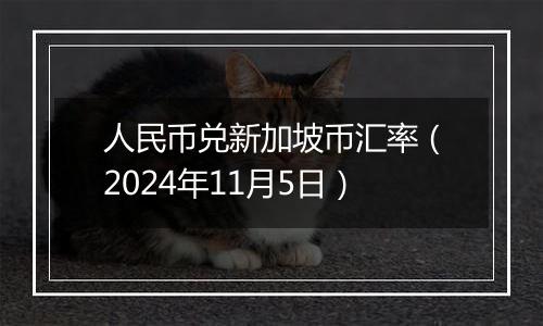 人民币兑新加坡币汇率（2024年11月5日）