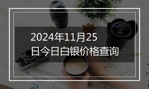 2024年11月25日今日白银价格查询