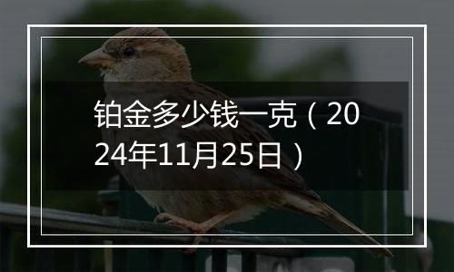 铂金多少钱一克（2024年11月25日）