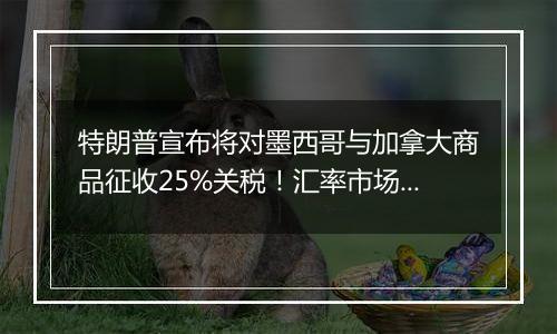 特朗普宣布将对墨西哥与加拿大商品征收25%关税！汇率市场“巨震”，美元直线拉升，现货金银波动加剧