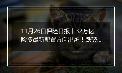 11月26日保险日报丨32万亿险资最新配置方向出炉！跌破300万，人身险保险营销人员大缩水！