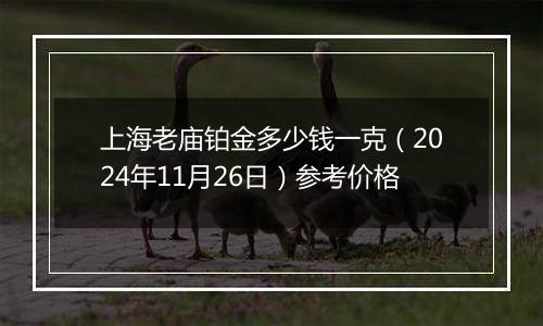 上海老庙铂金多少钱一克（2024年11月26日）参考价格